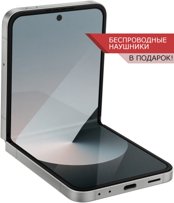 samsung galaxy Samsung Galaxy Z Flip6 серый